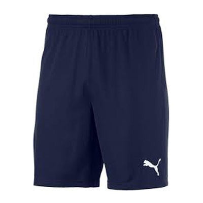 TeamGoal23 Puma Short Navy